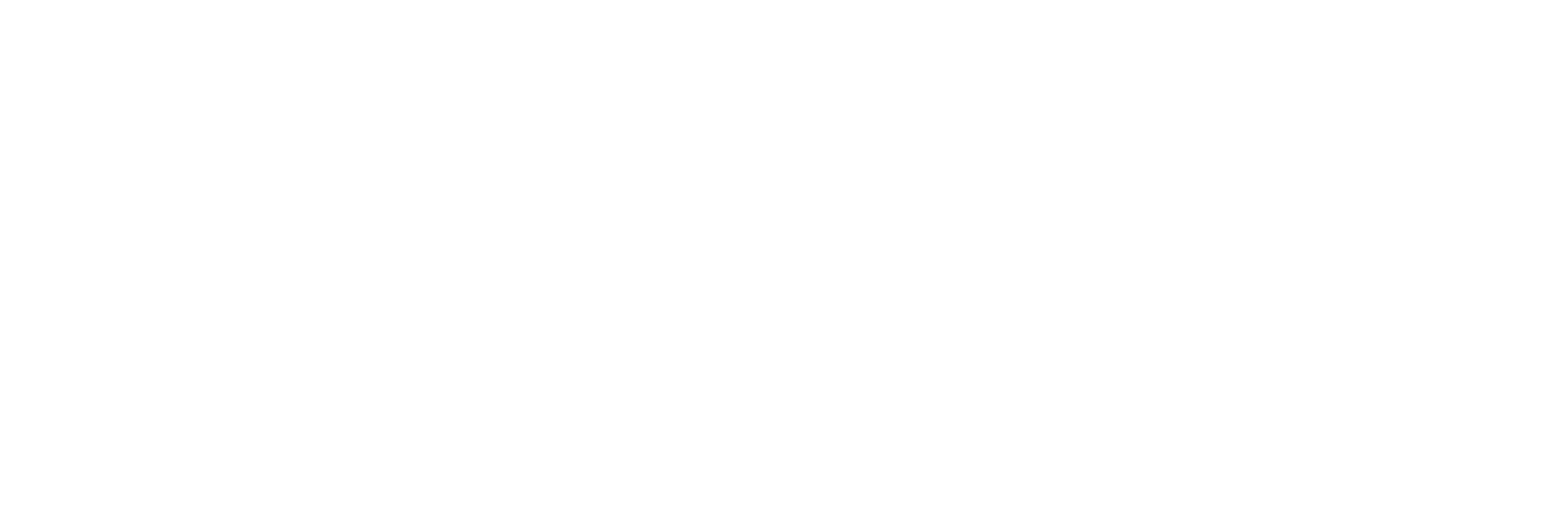 Pixelsarena Technologies - Shopify Expert — Custom Themes, Apps &
      Functionality Developer